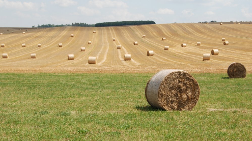 Panoramaaufnahme von abgeernteten Feldern mit Strohballen.