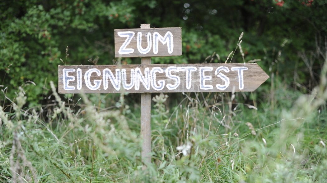 In einer Wiese ist ein Wegweiser mit der Aufschrift zum Eignungstest