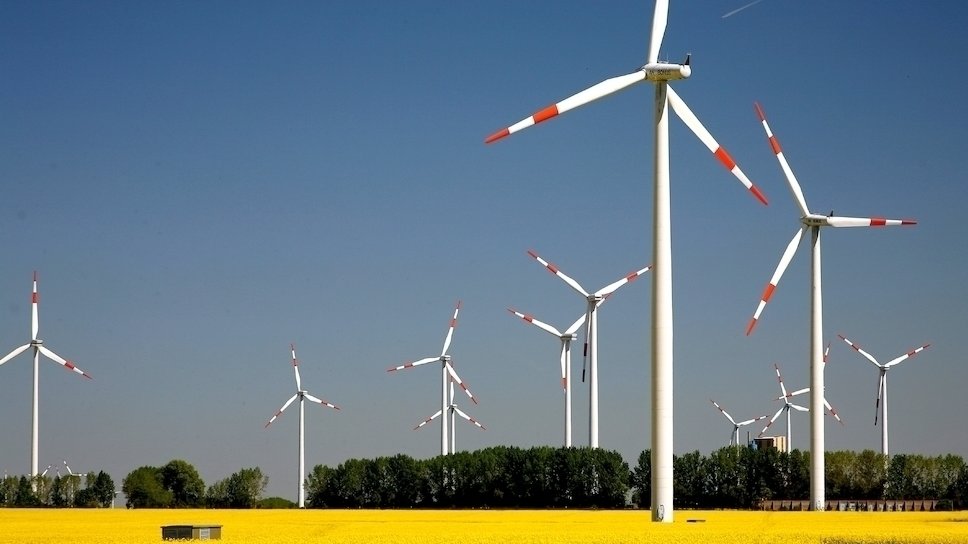In einer Landschaft mit einem Rapsfeld und Bäumen stehen bei wolkenlosem Himmel mehrere Windräder.