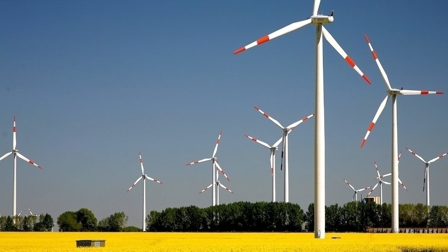 In einer Landschaft mit einem Rapsfeld und Bäumen stehen bei wolkenlosem Himmel mehrere Windräder.