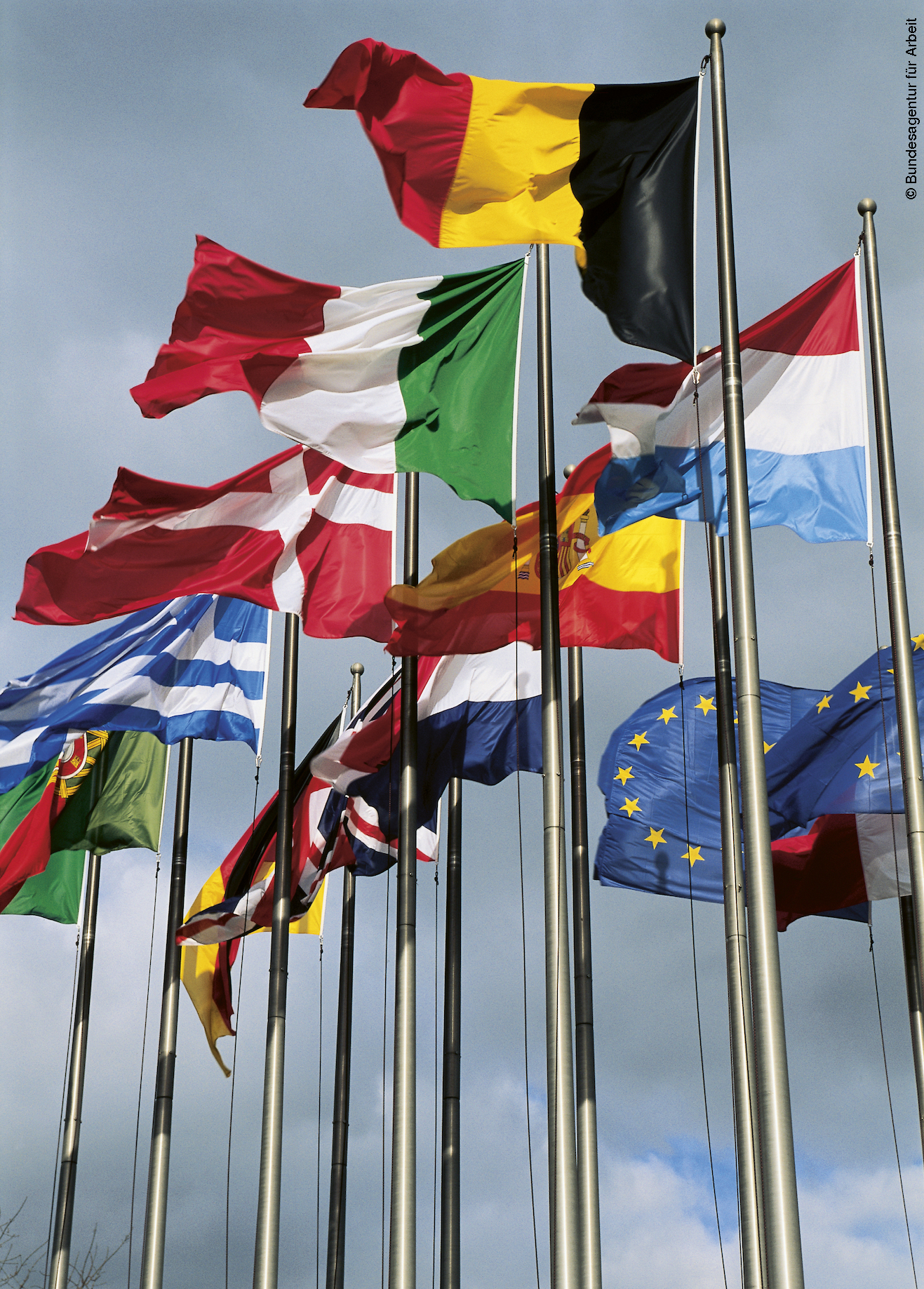 Aufgenommen aus der Froschperspektive ragen neben einer Europafahne verschiedene Flaggen von europäischen Mitgliedsstaaten in den bewölkten Himmel.