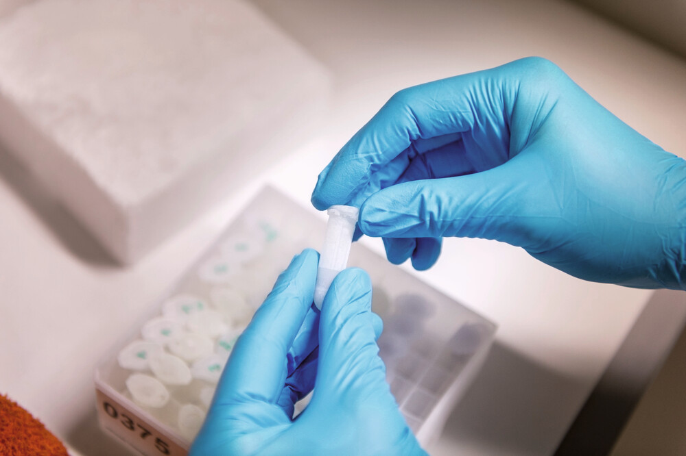 Jemand öffnet mit blauen Handschuhen eine Laborprobe